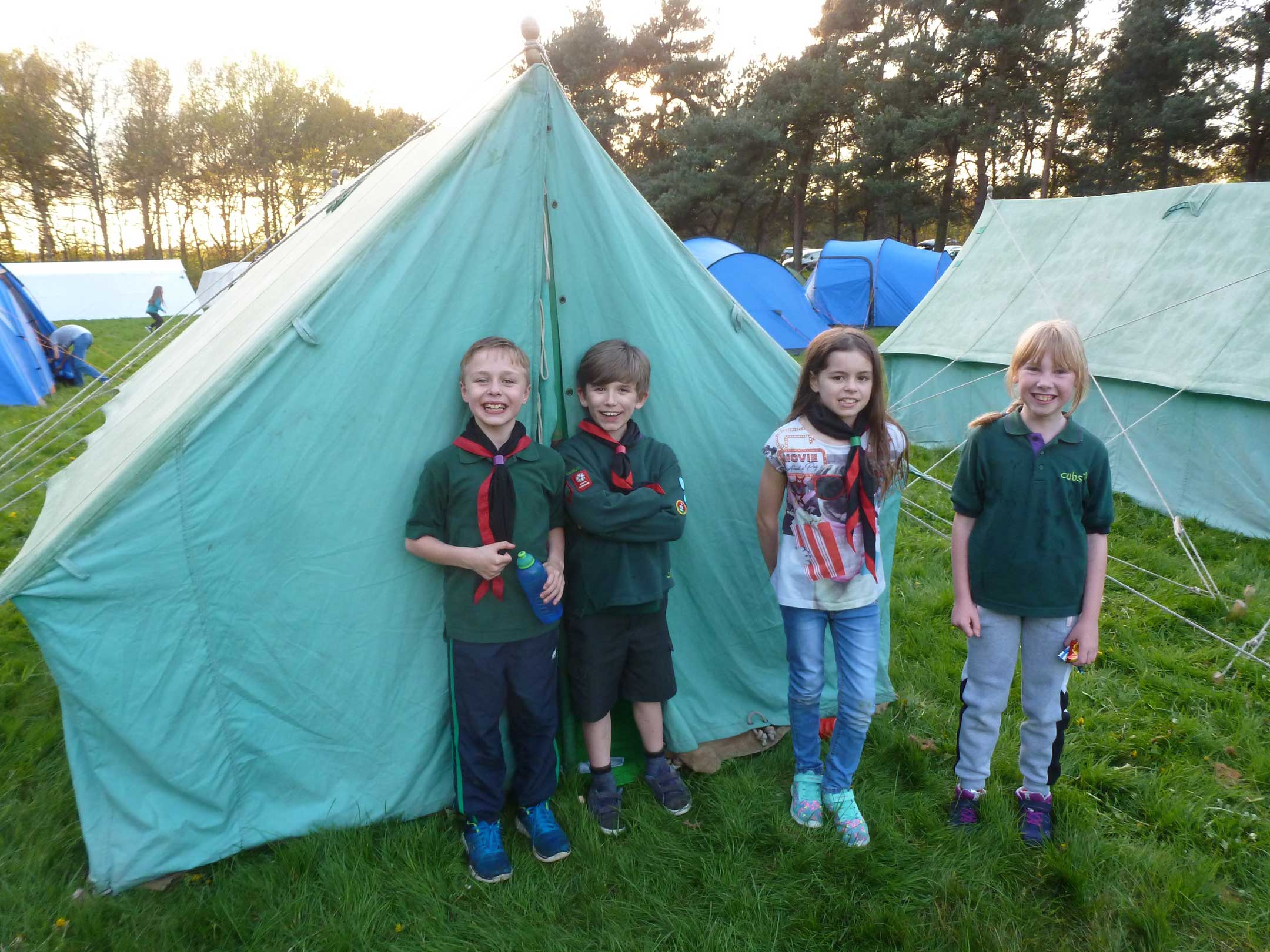 four cubs camping